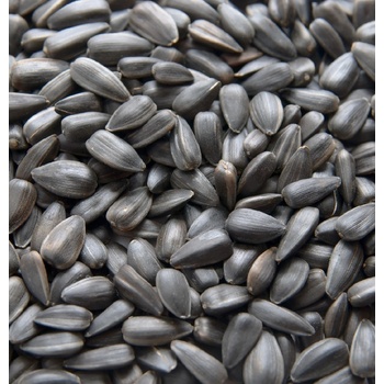 Biostan Biokron Slunečnice černá 5 kg