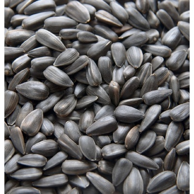 Biostan Biokron Slunečnice černá 5 kg – Hledejceny.cz