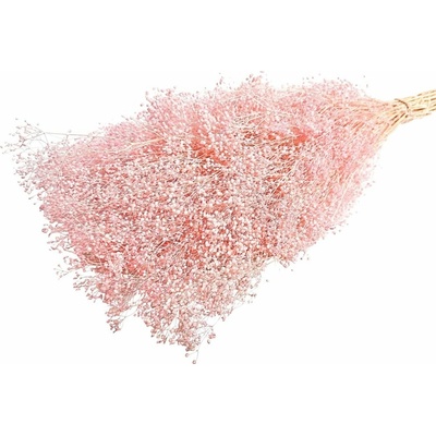 Stabilizovaná mini Gypsophila svazek/kytice světle růžová 90g-95g