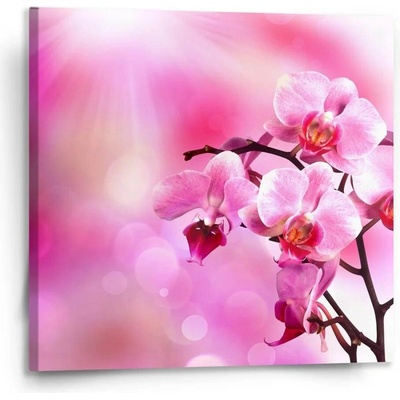 Sablio Obraz Květy orchideje - 110x110 cm