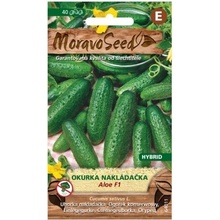 Okurka nakládačka ALOE F1
