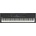 Yamaha CK88