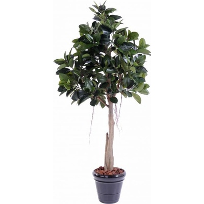 Luxusní umělý strom FICUS RUBBERT, 220cm