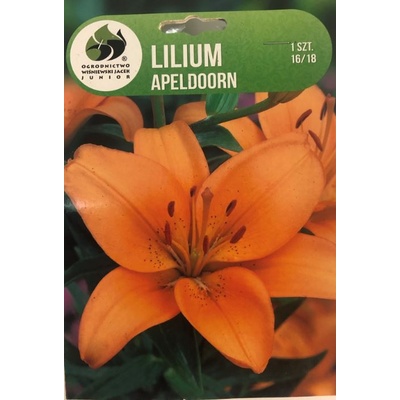 Lilie cibule, Lilium Asiatic Apeldoorn, oranžová, balená, 1 ks