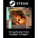 Crouching Pony Hidden Dragon