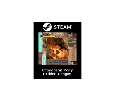Crouching Pony Hidden Dragon