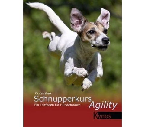 Schnupperkurs Agility