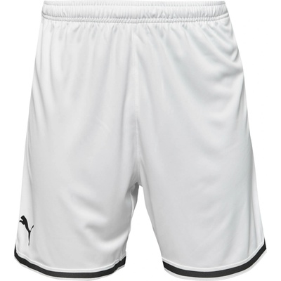 Puma HOOPS TEAM GAME SHORT