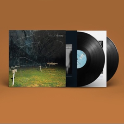 This Stupid World - Yo La Tengo LP