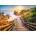 Ravensburger - Puzzle Stairway to Camilo Beach, Algarve - 1 000 piese