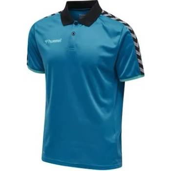 Hummel Поло тениска Hummel AUTHENTIC FUNCTIONAL POLO 205382-8745 Размер S