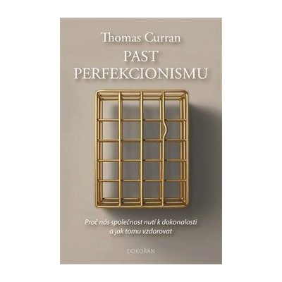 Past perfekcionismu