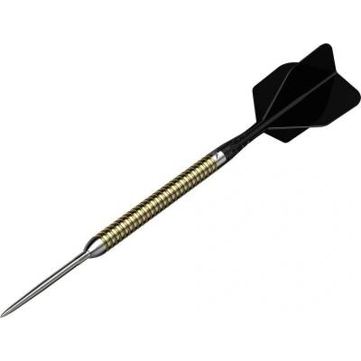 Šípky steel Mission Mike De Decker 24g R2.5 Rapid Points 95% wolfram