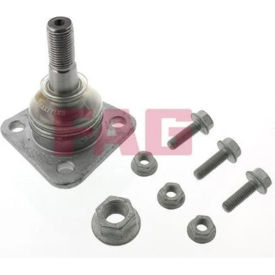 Podpora-/ Kloub Schaeffler FAG 825 0187 10