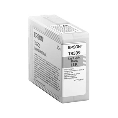 Epson C13T850900 - originální