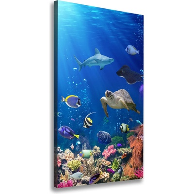 Vertikálny foto obraz canvas Koralový útes 50x100 cm
