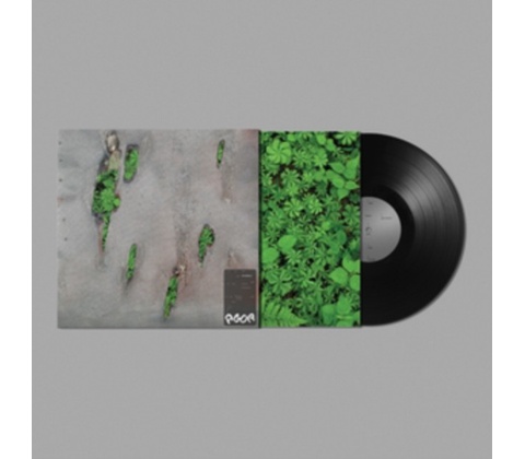 YOUNG KORELESS - Agor LP