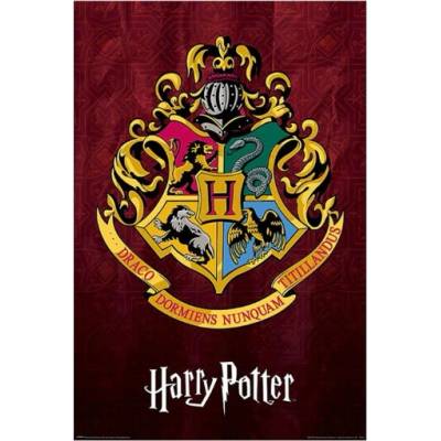 Plakát Harry Potter Bradavická škola kouzel 61x91cm