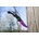 F A D E E Flip knife Galaxy