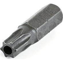 Witte werkzeuge bit torx s vývrtem T 25 TR, 29483