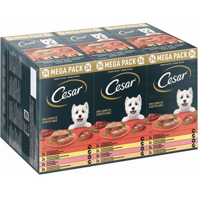 Cesar Adult Klassik-Terrine 4 variace 24 x 150 g