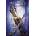 Halts Peril Flanagan JohnPaperback