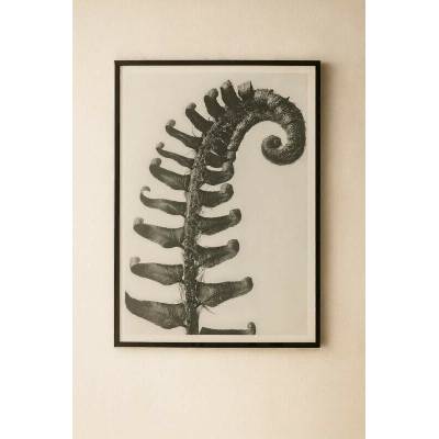 Béžovo-šedý obraz - BePureHome Artwork Fern