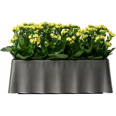 Bama Květináč plast černý 50 x 20 x 17,5 cm