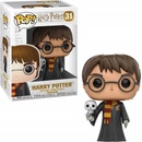 Funko POP! Harry Potter Harry with Hedwig 10 cm