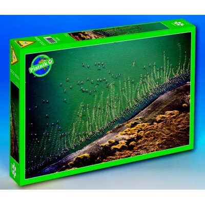 Piatnik Letíme na jih 1000 dielov