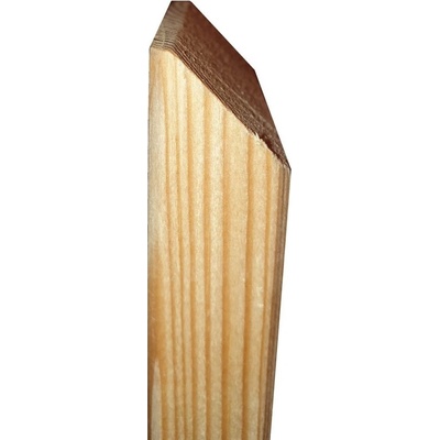 Plotová prkna sibiřský modřín s fází