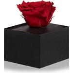 RoseAmor Red стабилизирана роза в кутия