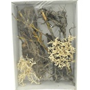 Lucky Reptile Deco Set Desert