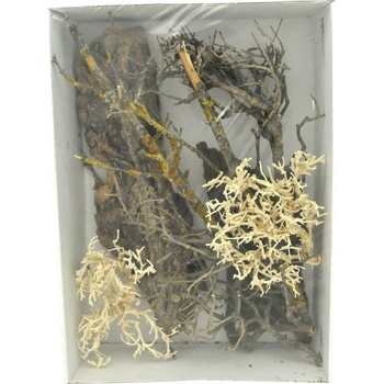 Lucky Reptile Deco Set Desert