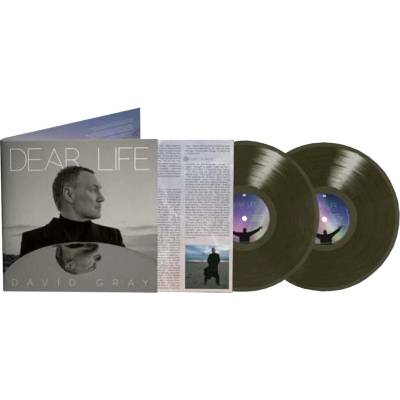David Gray - Dear Life (Limited Edition) (Seaweed Green Coloured) (2 LP) (0617308085419)