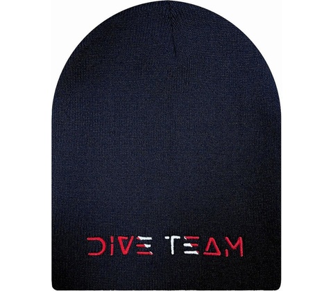 DIVE TEAM