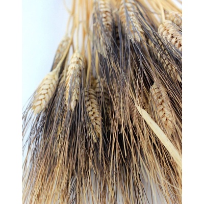 Sušené triticum black natural 500 g