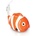Gamma Nemo