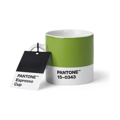 PANTONE Espresso Green 15 343 101040343 120 ml