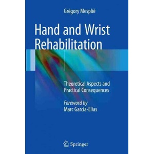 Hand and Wrist Rehabilitation | Gregory Mesplie (ISBN: 9783319367422)