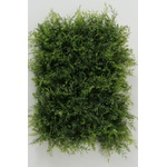 Boltze Изкуствено растение Grass (1021715.)