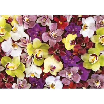 Image 1 of Educa - Puzzle Orchid Collage - 1 000 piese