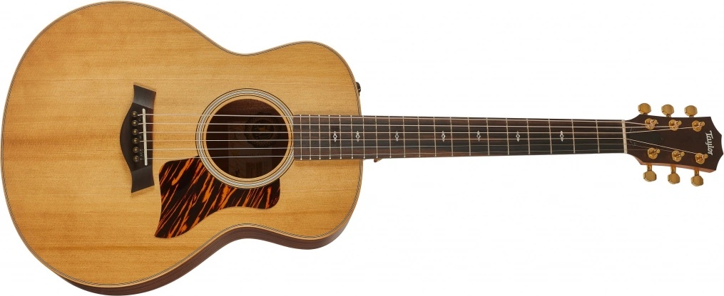 Taylor GS Mini-e