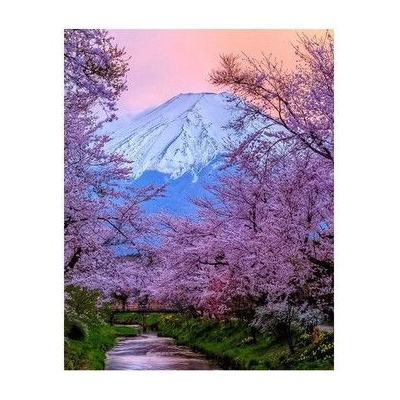 Collection D'Art Collection D`art - Диамантен гоблен - Връх Фуджи (DE5818)