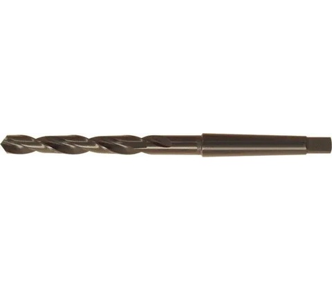 Fortis 10241000