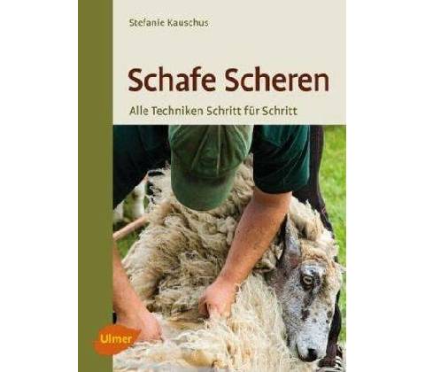 Schafe scheren