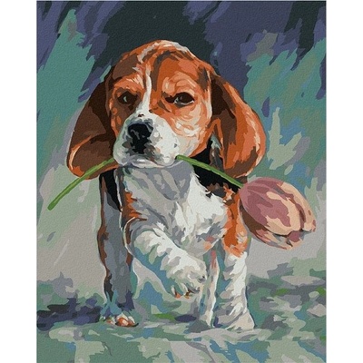zuty Malování Podle Čísel Pejsek S Tulipánem 80 x 100 Cm Plátno Rám