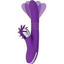 Fun Function Bunny Funny Rotation