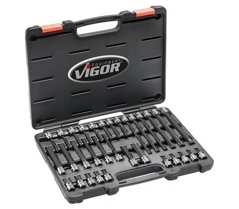 VIGOR V6017