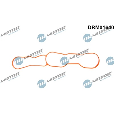 DRM01640 DR.MOTOR AUTOMOTIVE Těsnění, koleno sacího potrubí | Zboží Auto
